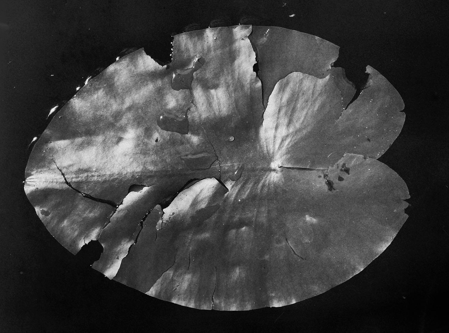 Berestova Katia. Process - photo. Untitled
