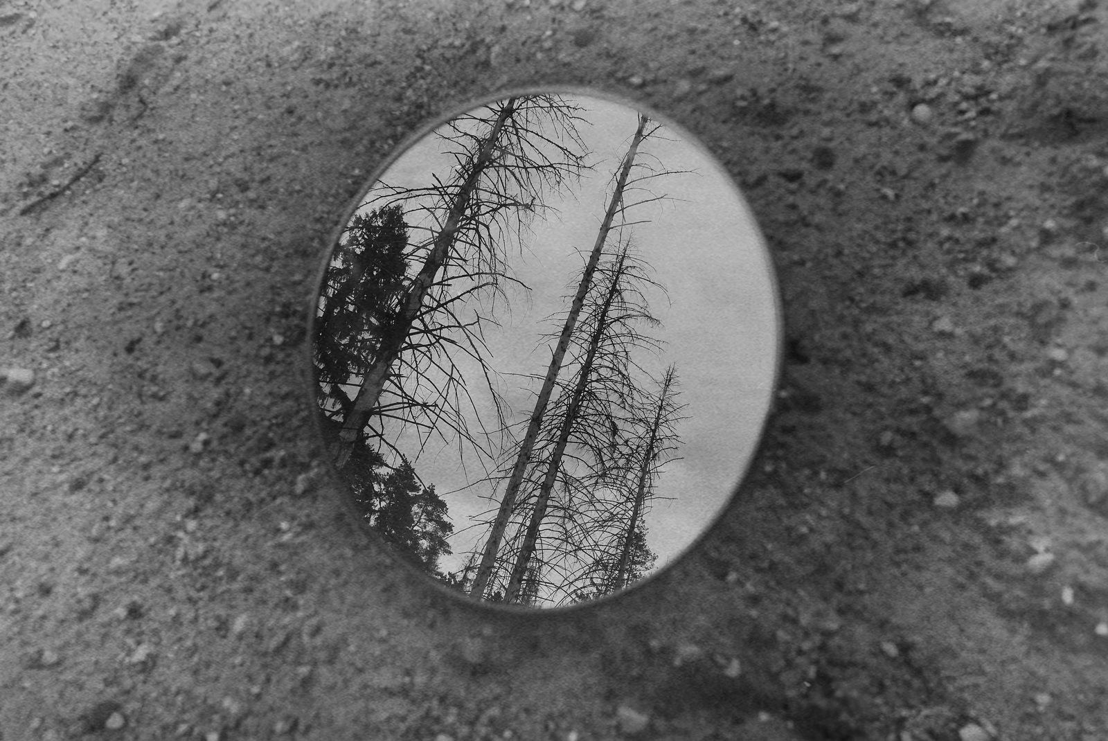Berestova Katia. Process - photo. Untitled