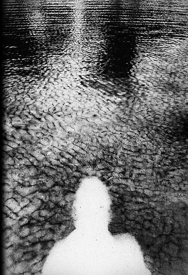 Berestova Katia. Process - photo. Untitled