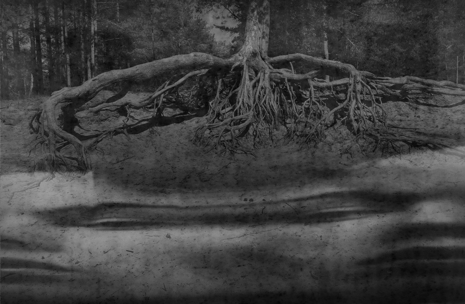 Berestova Katia. Process - photo. Untitled