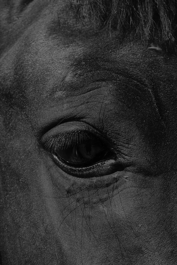 Berestova Katia. Process - photo. Untitled