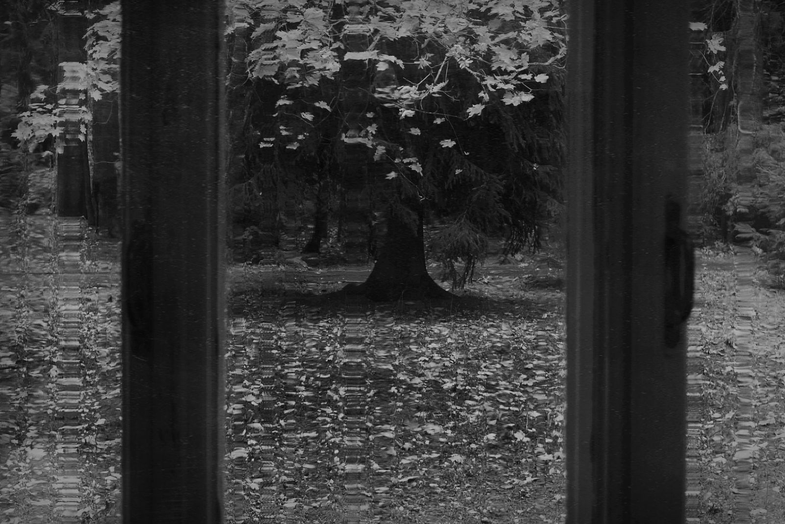 Berestova Katia. Process - photo. Untitled