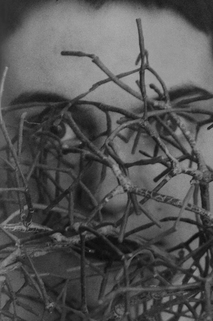 Berestova Katia. Process - photo. Untitled