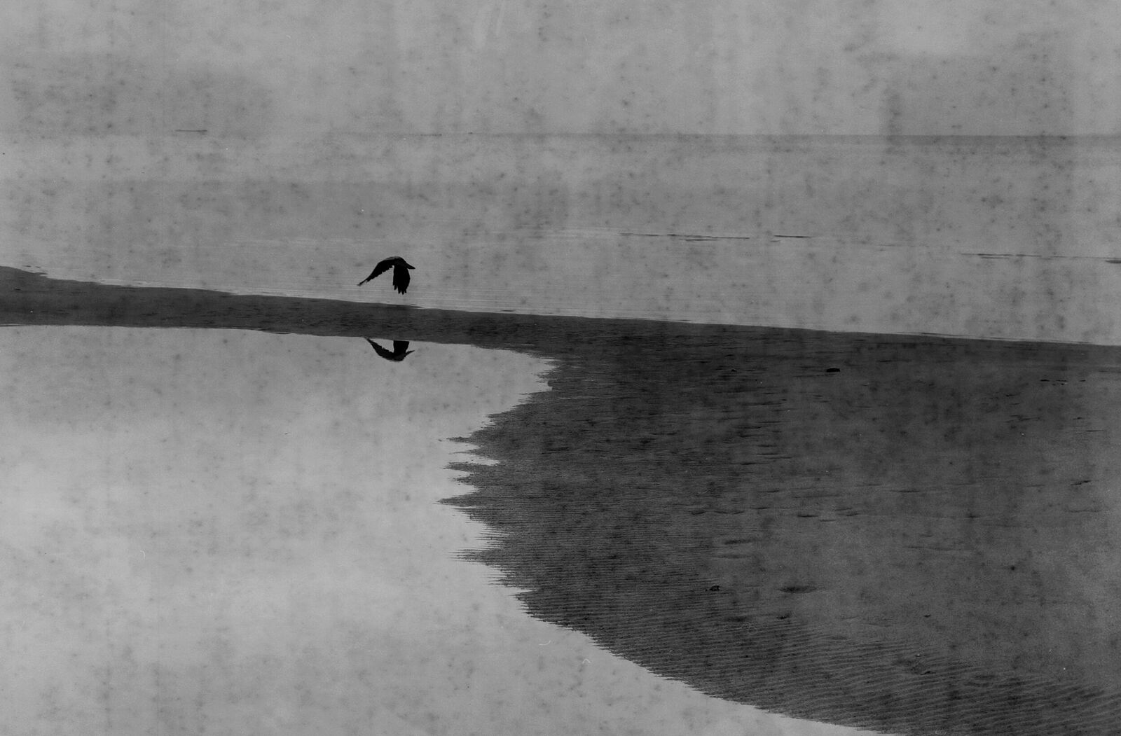 Berestova Katia. Process - photo. Untitled