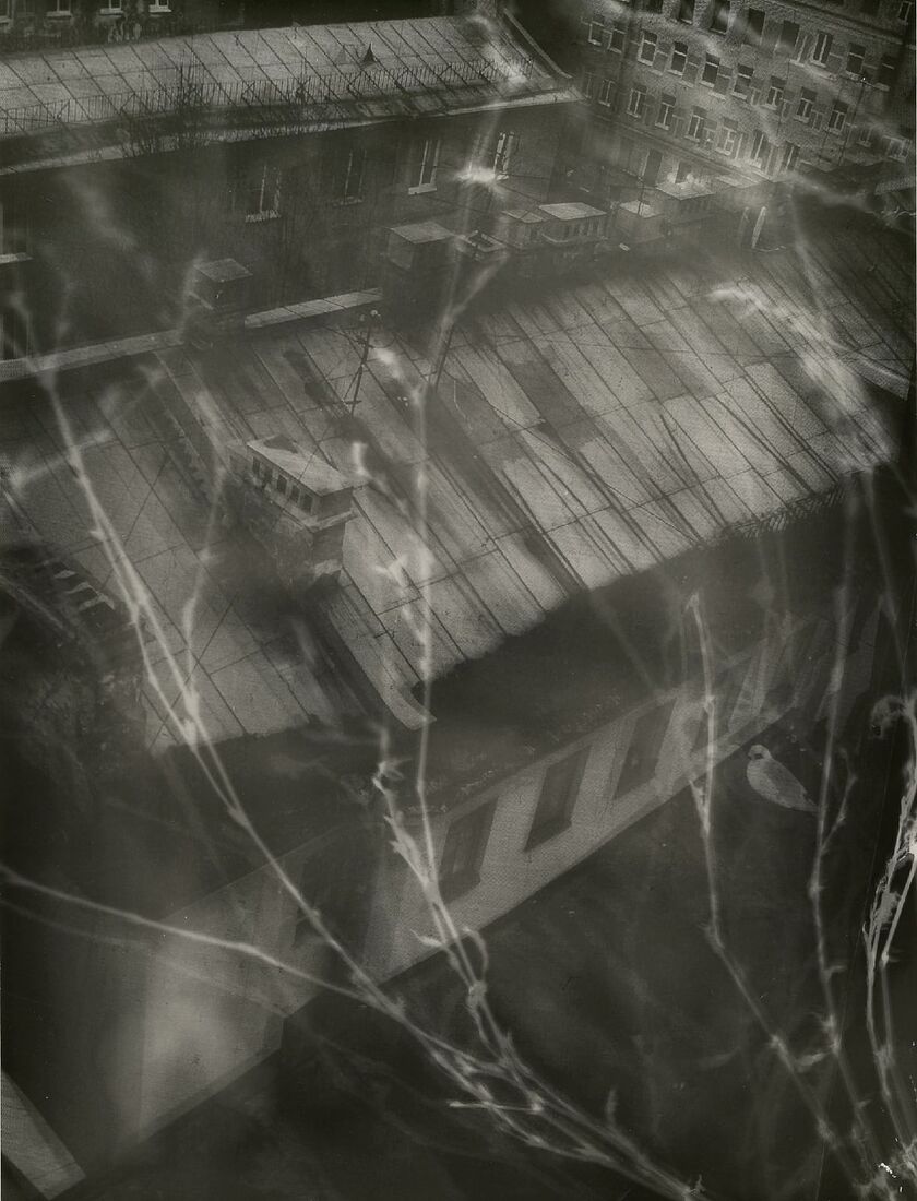 Berestova Katia. Process - photo. Untitled