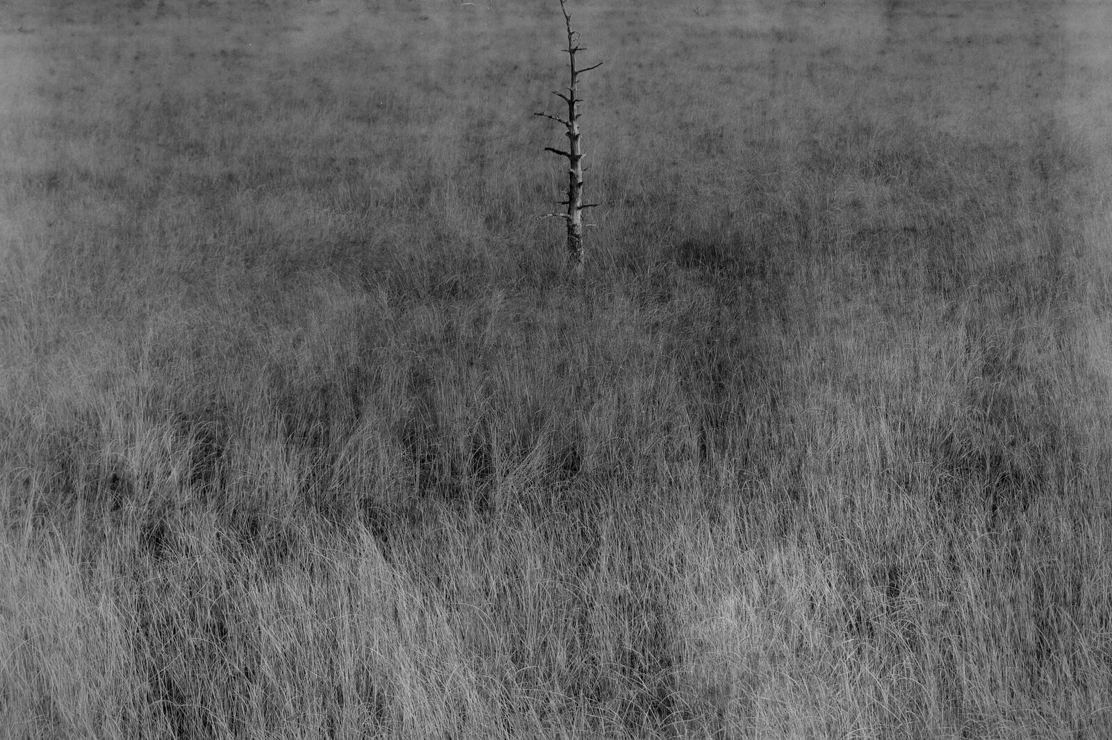 Berestova Katia. Process - photo. Untitled