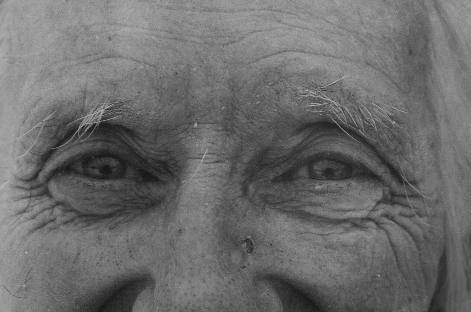 Berestova Katia. Process - photo. Untitled