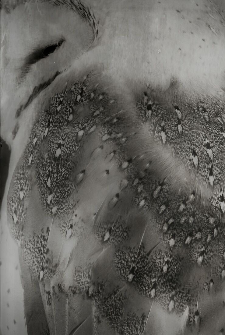 Berestova Katia. Process - photo. Untitled