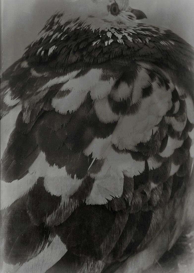 Berestova Katia. Process - photo. Untitled