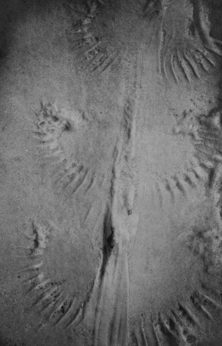 Berestova Katia. Process - photo. Untitled