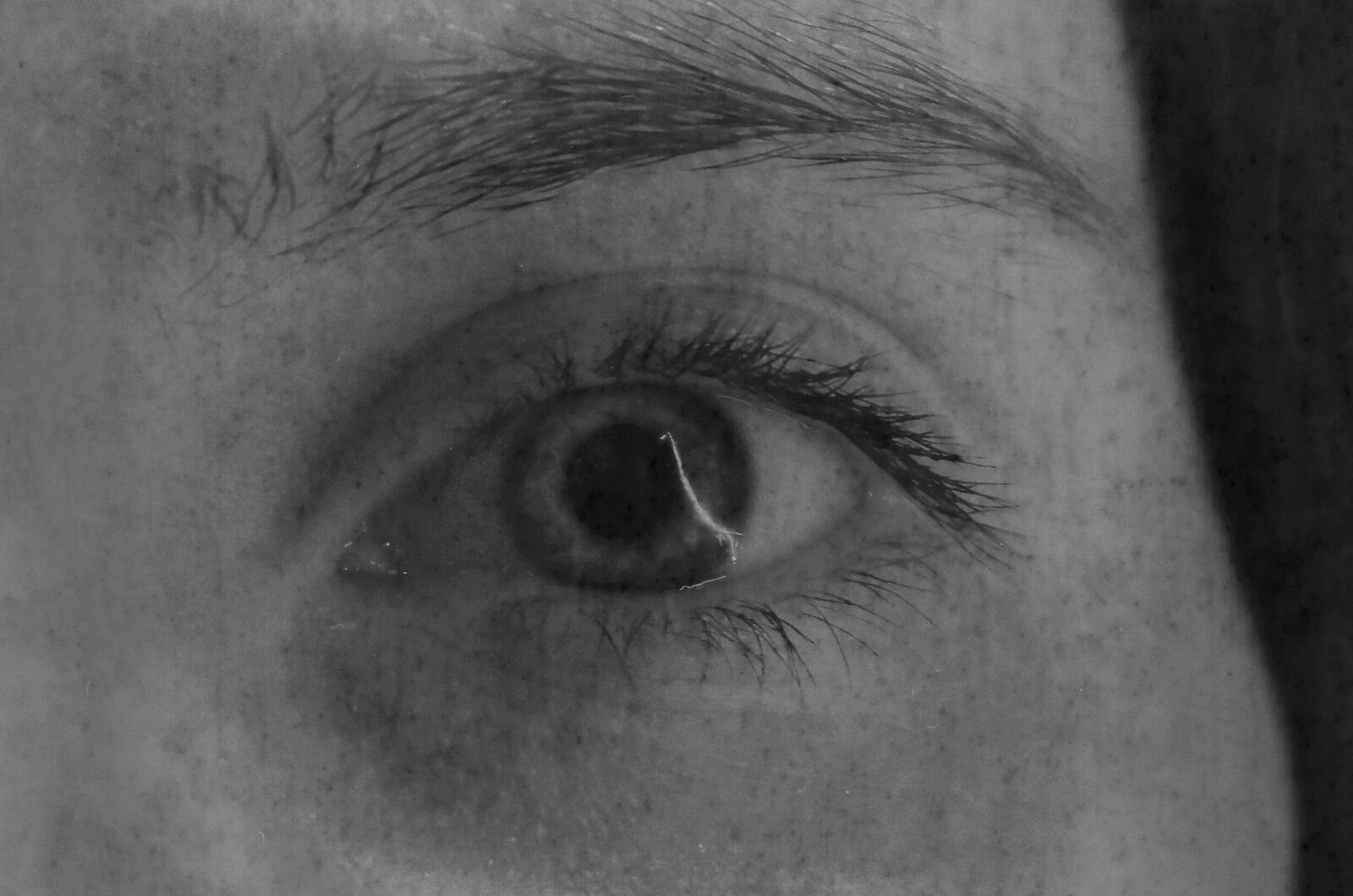 Berestova Katia. Process - photo. Untitled