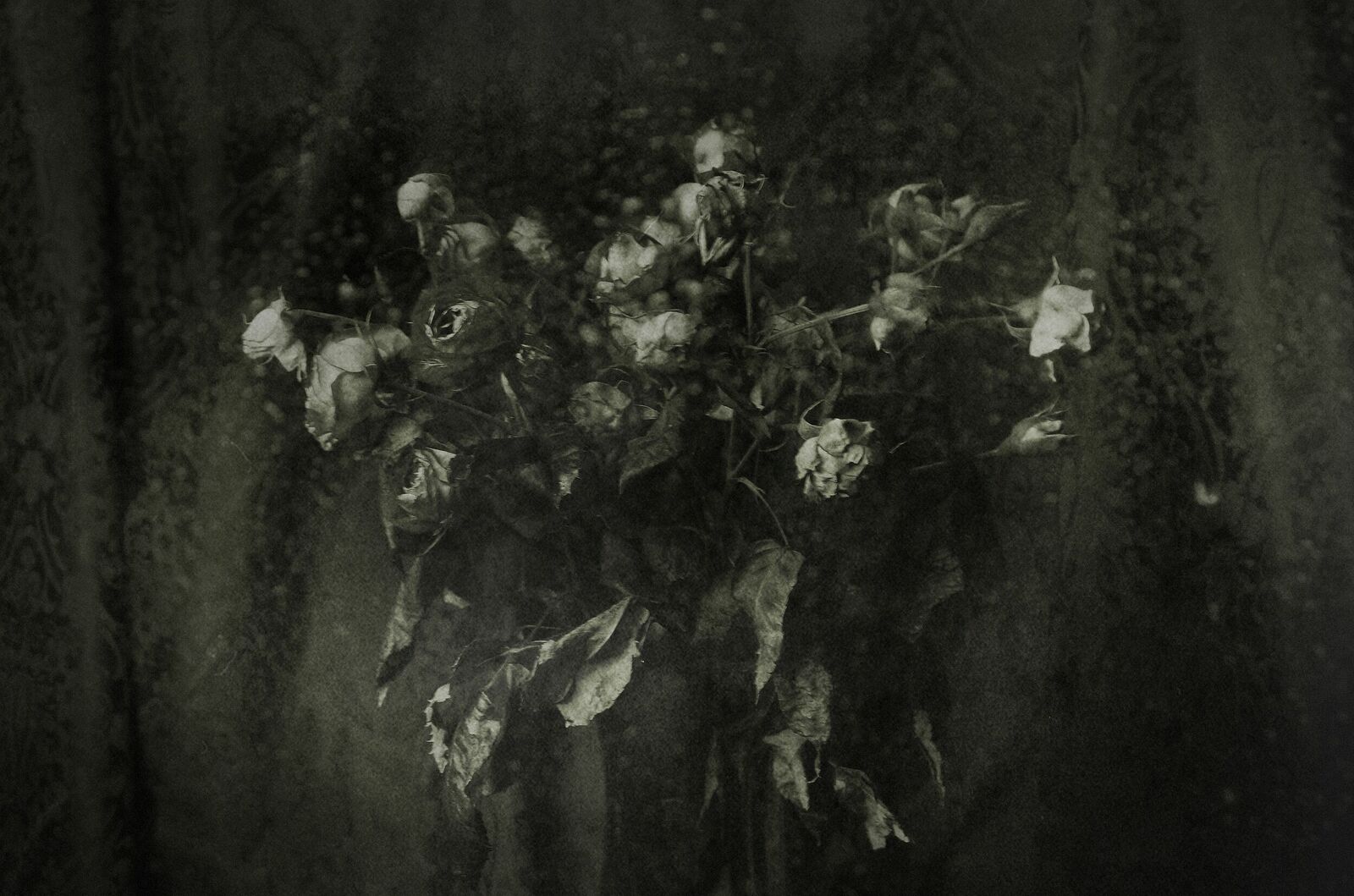 Berestova Katia. Process - photo. Untitled