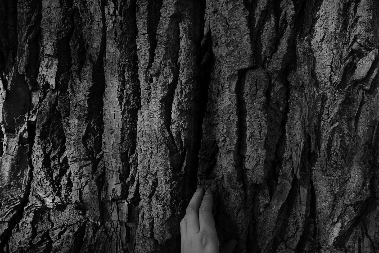 Berestova Katia. Process - photo. Untitled