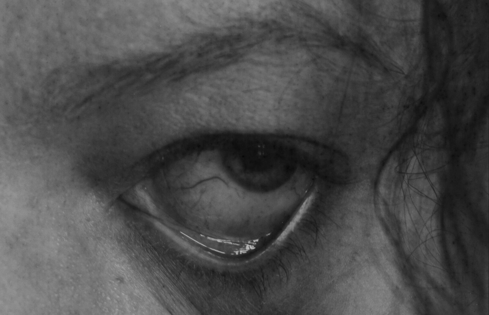 Berestova Katia. Process - photo. Untitled